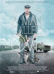 Hayata Röveşata Çeken Adam FullHD Film İzle