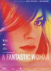 Muhteşem Kadın A Fantastic Woman Full HD İzle