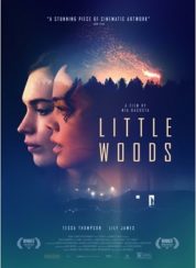 Little Woods – Türkçe Altyazılı