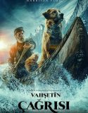 Vahşetin Çağrısı Full HD İzle